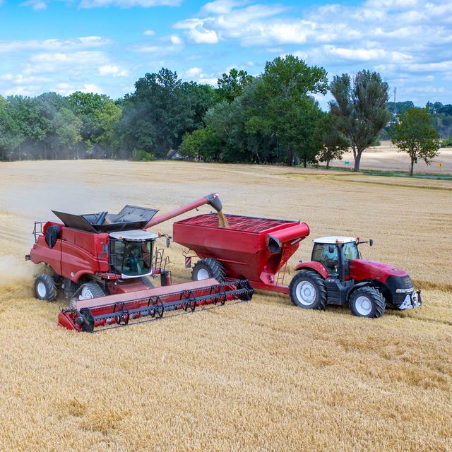 Agrarwirtschaft Agriculture